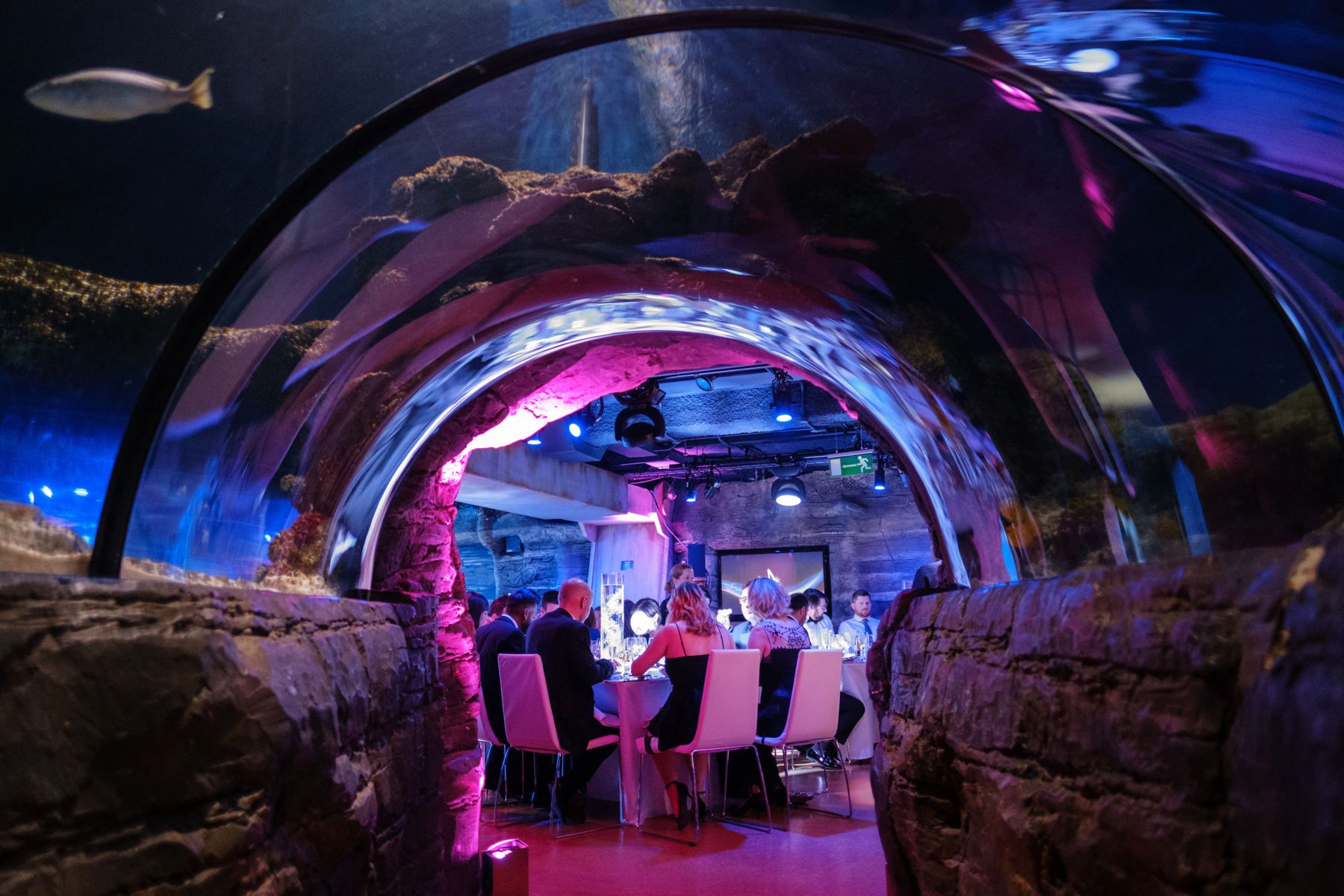 Merlin Event Venues - Our New World